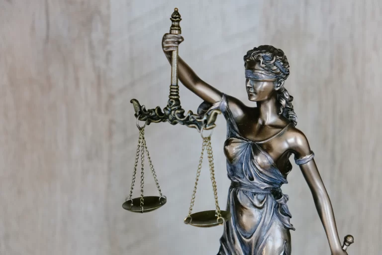 Acte notariale și documente juridice pregătite pentru verificare